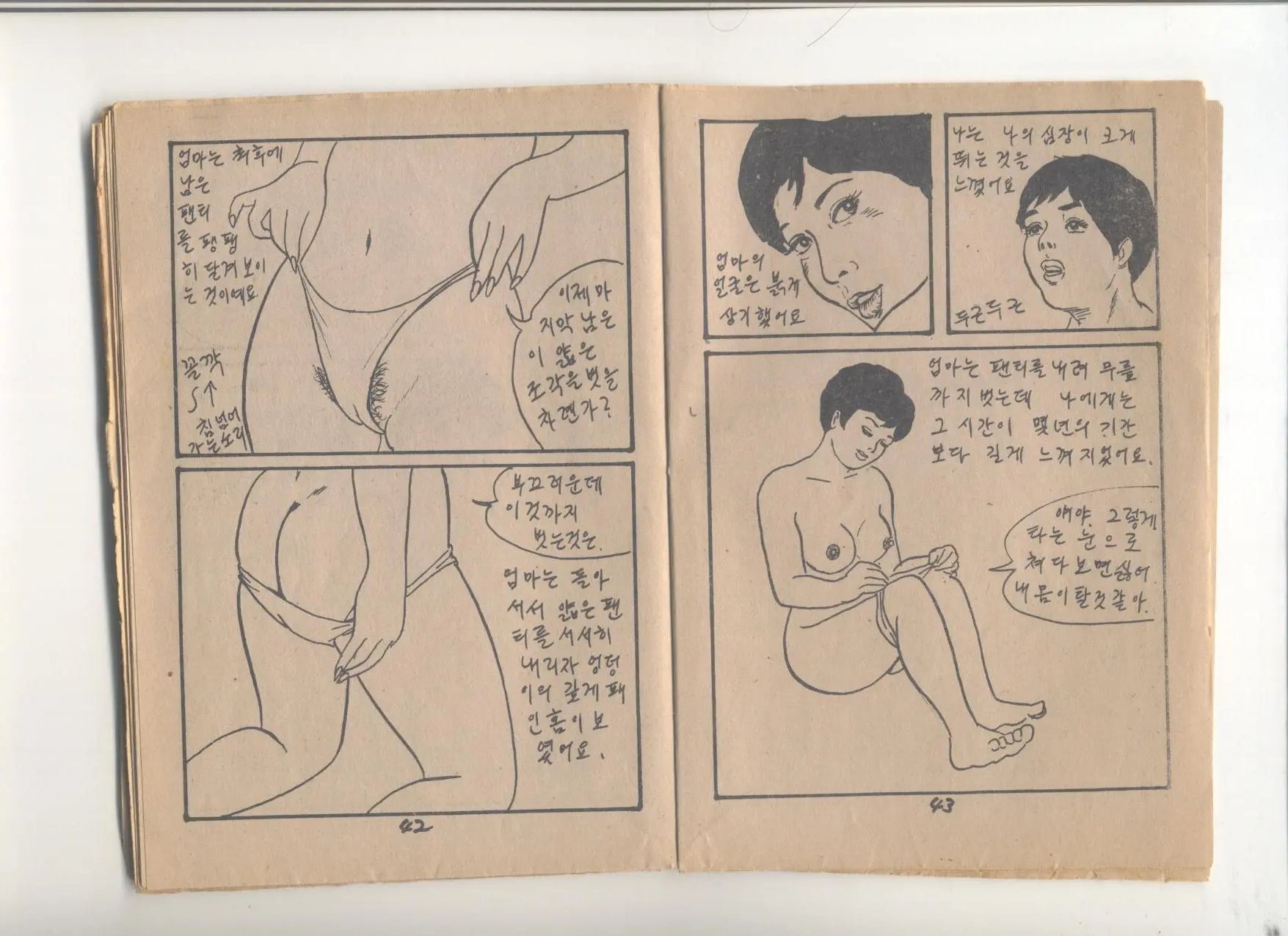 姦淫秘話