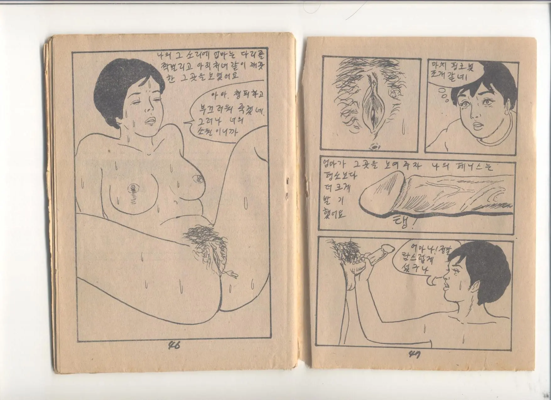姦淫秘話