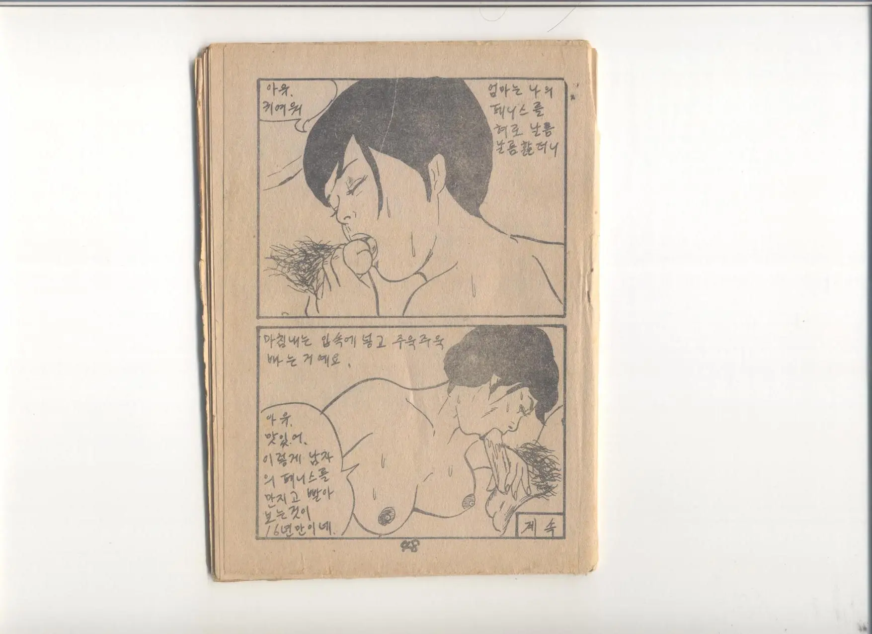 姦淫秘話