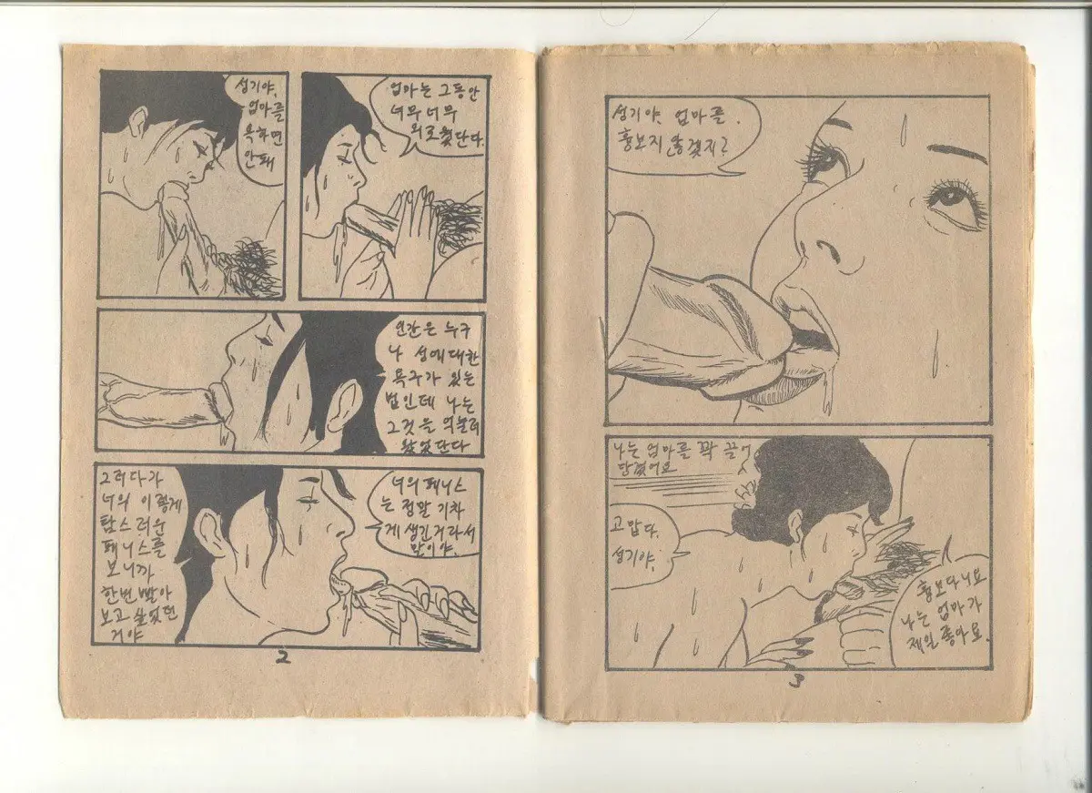 姦淫秘話