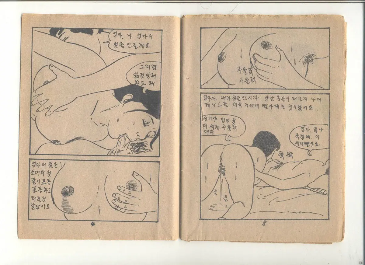 姦淫秘話