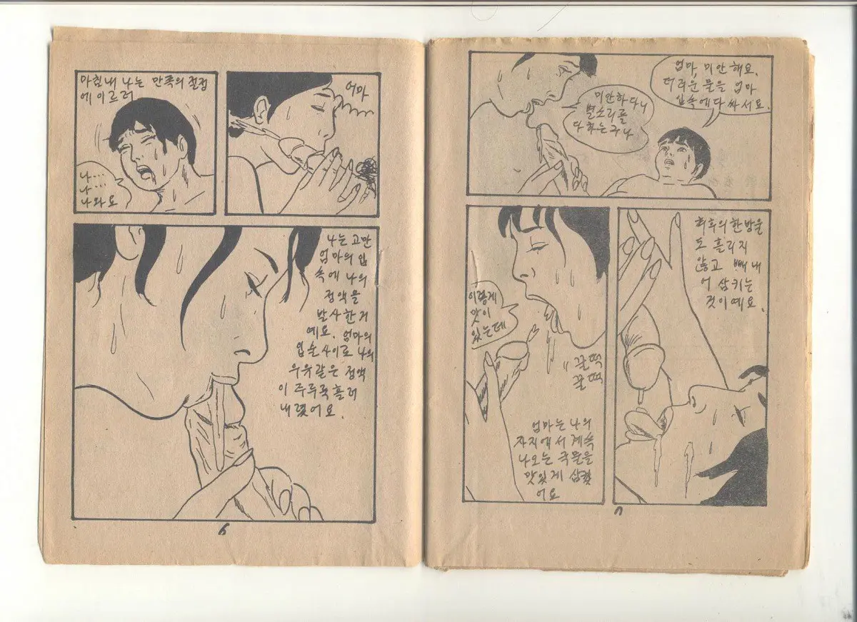 姦淫秘話