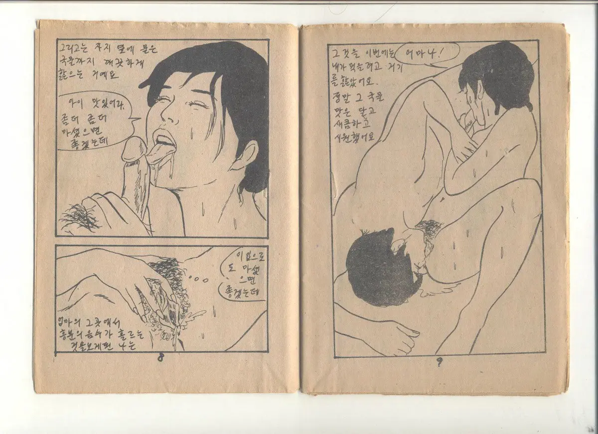 姦淫秘話