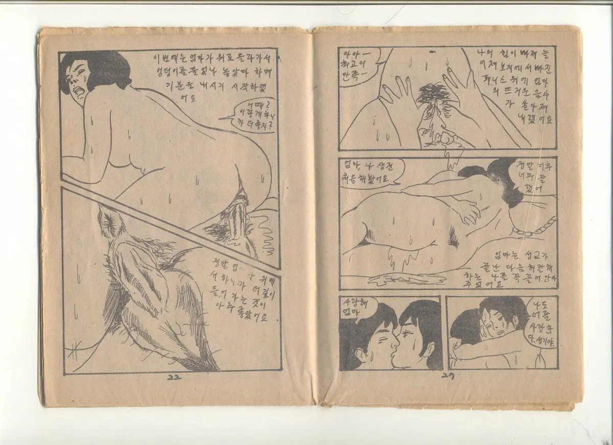 姦淫秘話