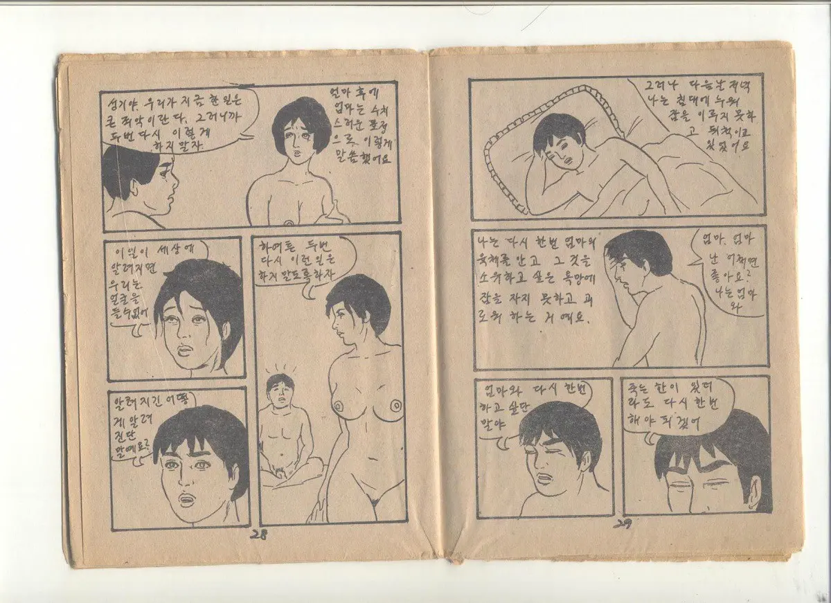 姦淫秘話