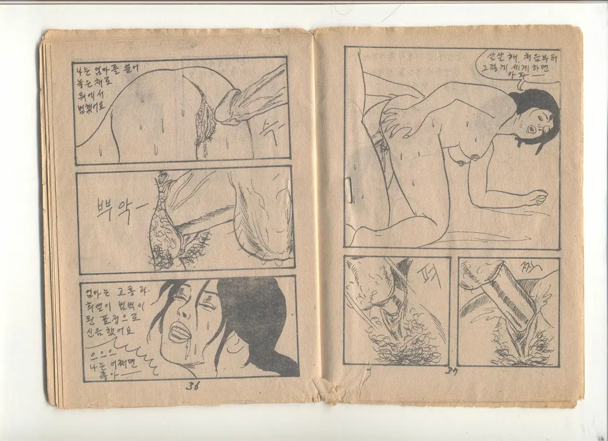 姦淫秘話