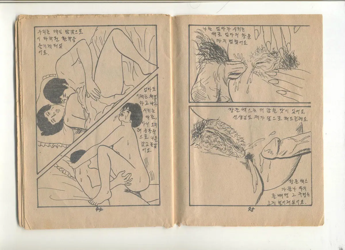 姦淫秘話
