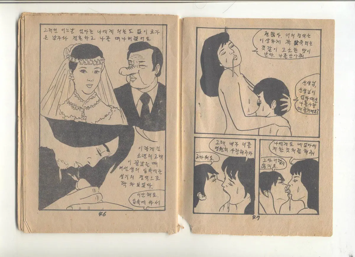 姦淫秘話
