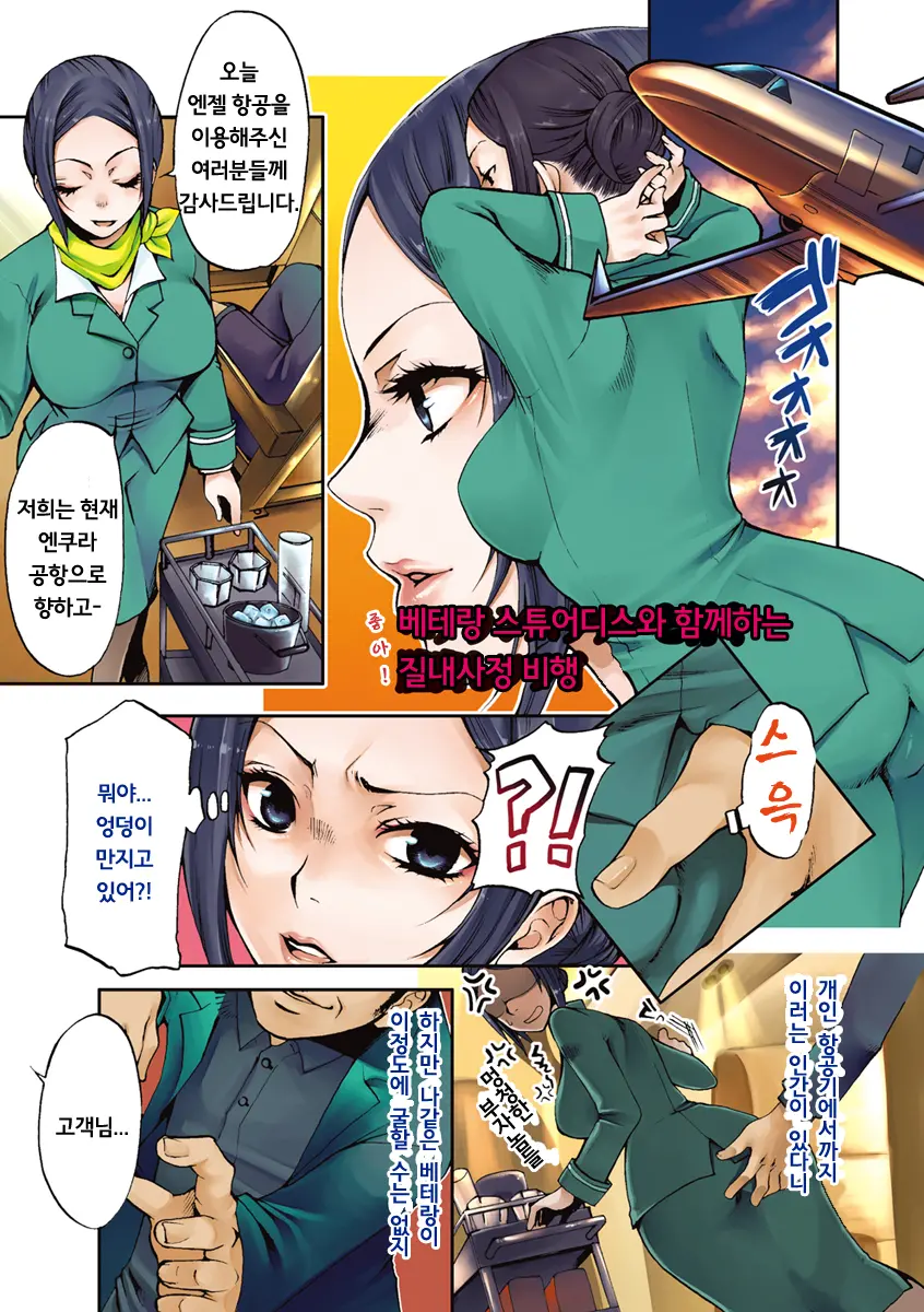 Veteran Stewardess To Iku Nakadashi Flight