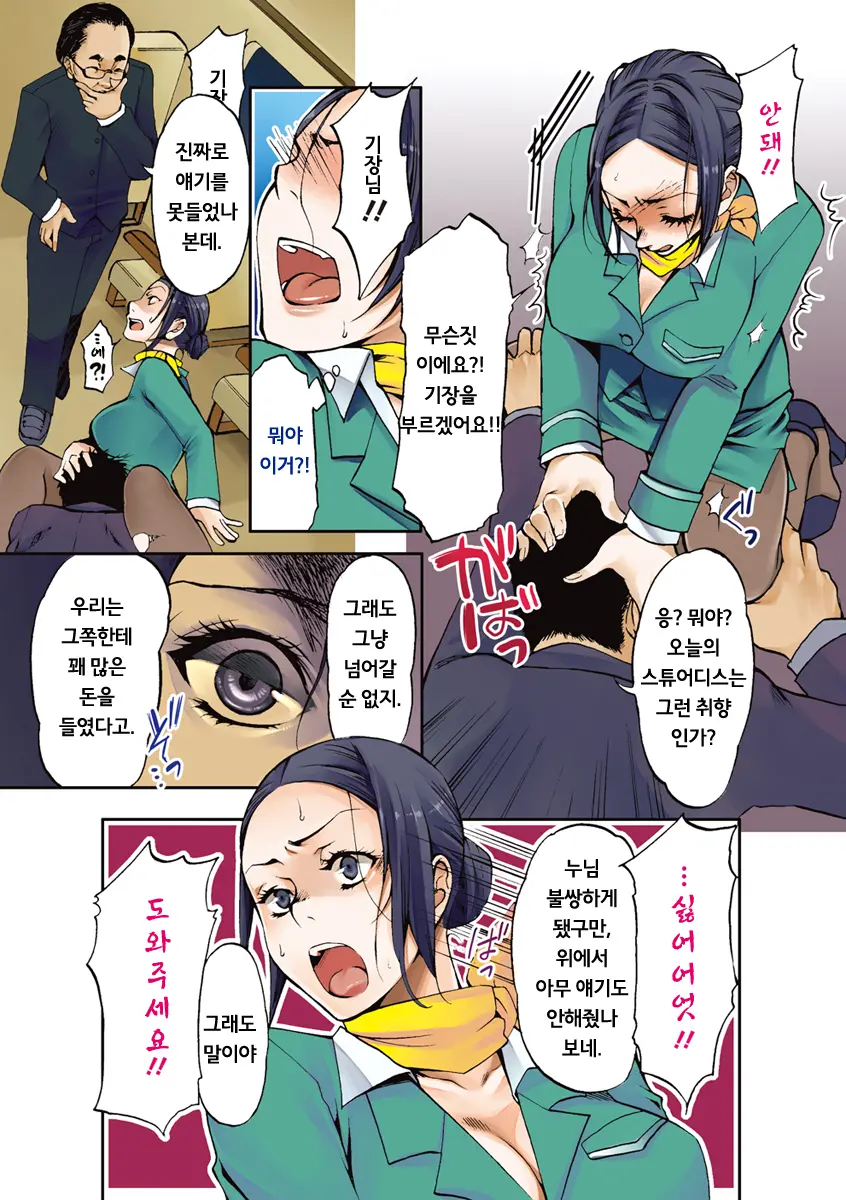 Veteran Stewardess To Iku Nakadashi Flight