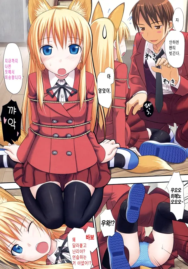 Himegitsune