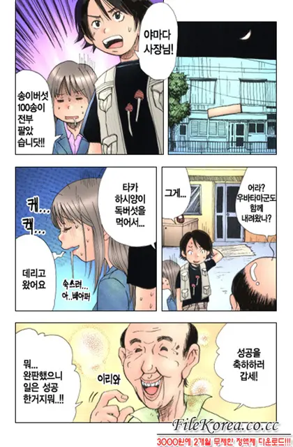 Mimi Studio