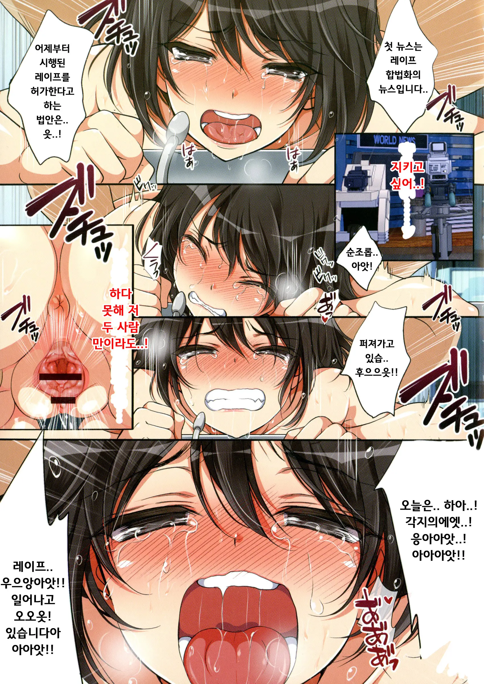 Rape Gouhou Ka!!! ~Ninki Announcer Yuri No Baai