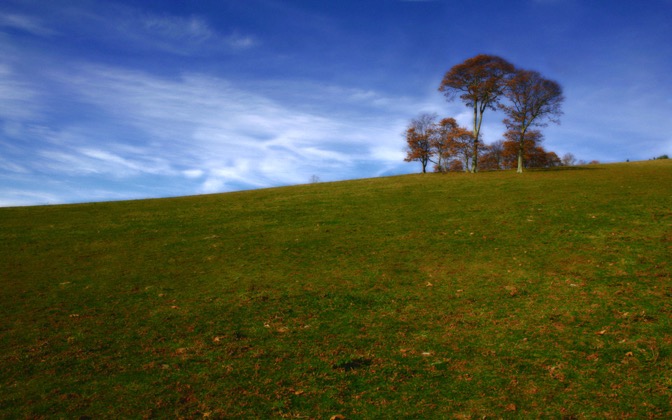 indiantreehill