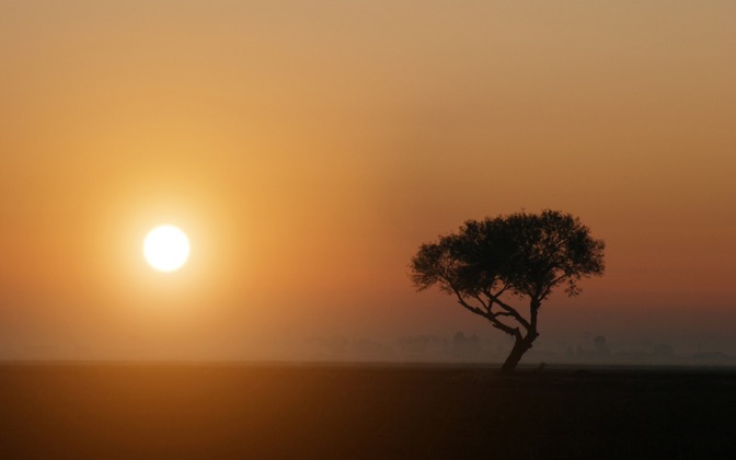 californianfarmsunset