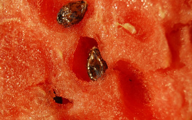 watermelon