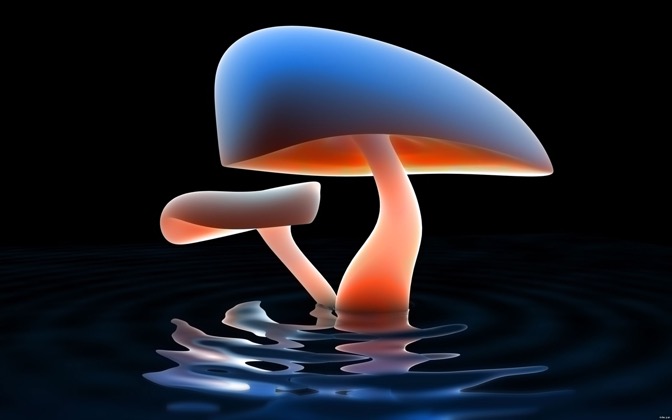 mushroomlake
