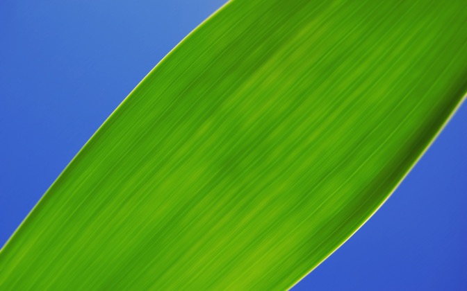 greenleaf