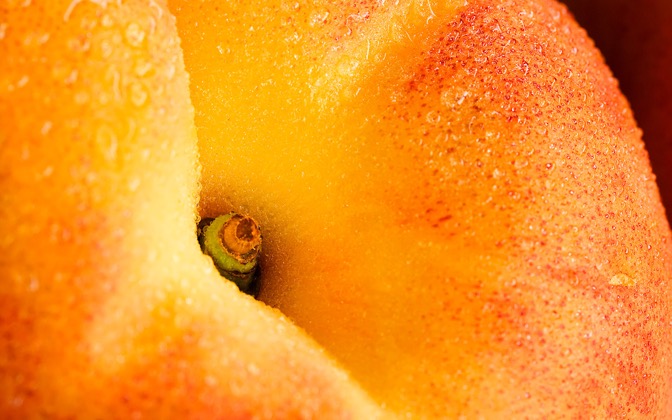 fruit01