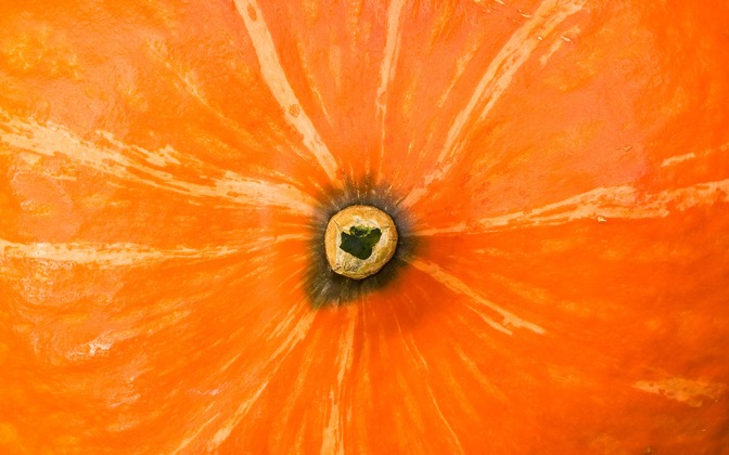 gourd02
