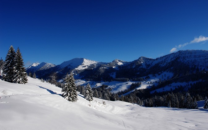 alpinesight