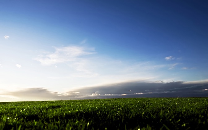 greenfieldsofsweden