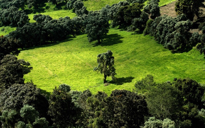 deepgreen
