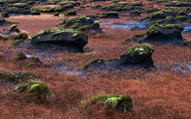 bogfielddonegal
