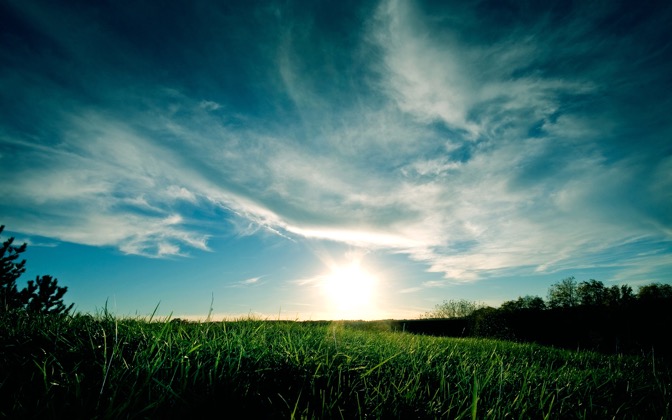 grassysunset