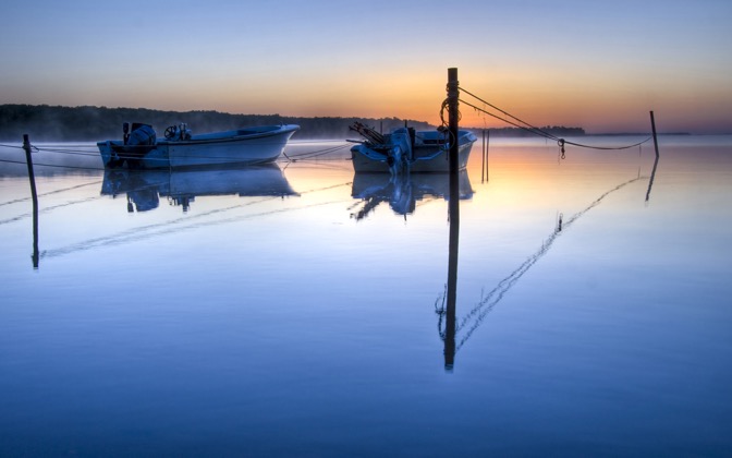 potomacmorning