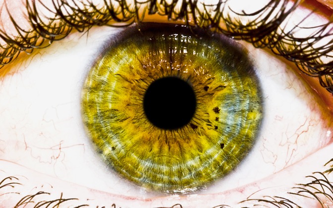theeye