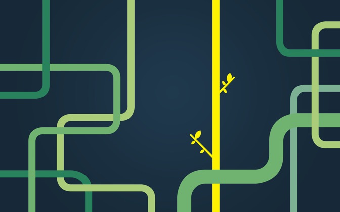 plantintheplumbing