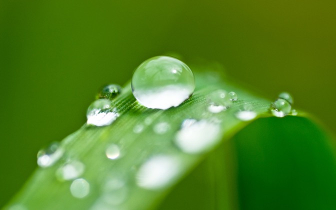 droplets