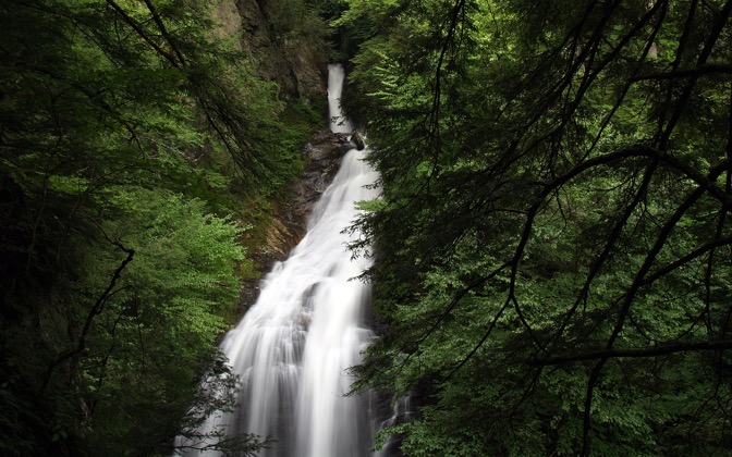 waterfallinthewoods