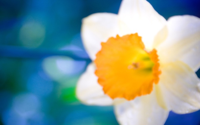 wonderfulblurriness