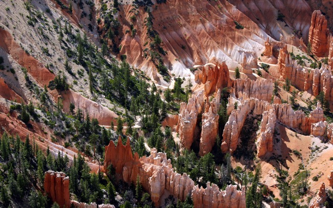 beautifulbryce