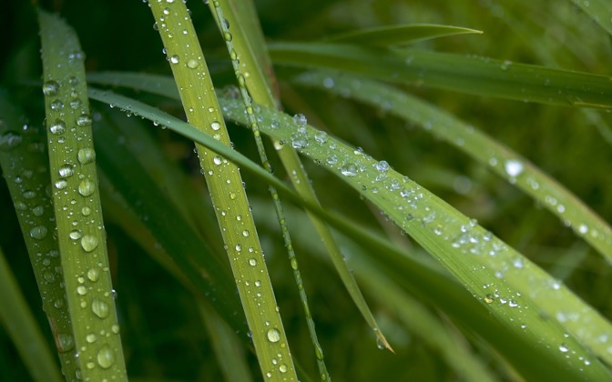 afterrain