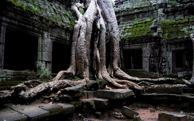 amazingtaprohmtombraidertemple