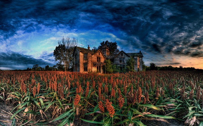 edgewoodfarm