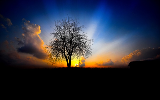 waitingforthenextmorning