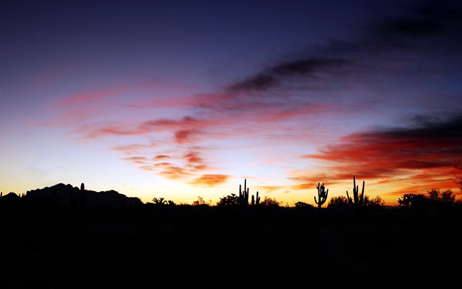 goodbyearizona