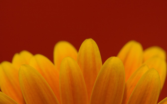 simplecolors