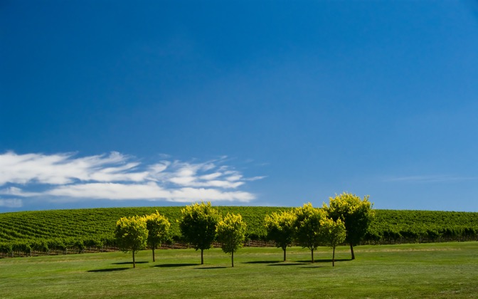 summervines