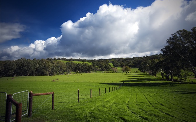 thegreenhillsofhome