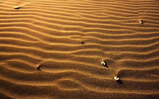 sandy