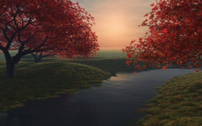 maplepond