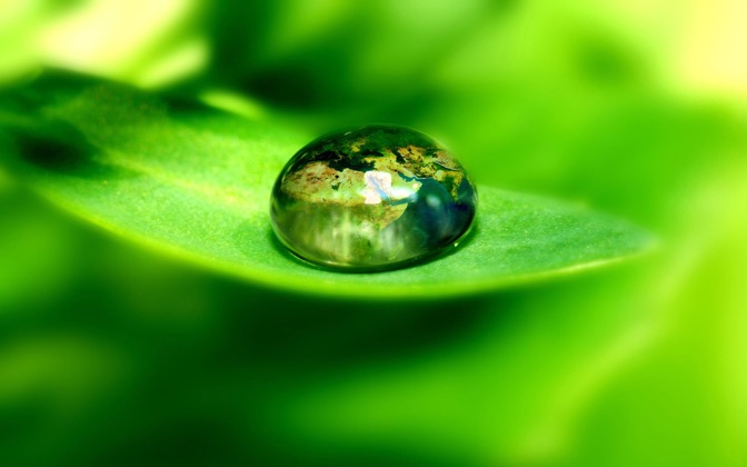 worldongreenleaf