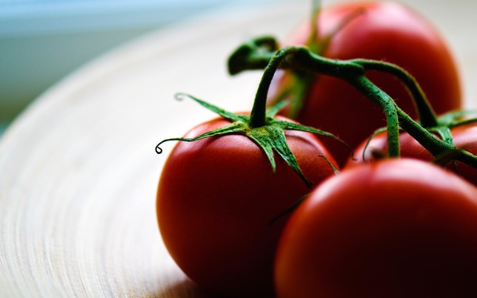solanum