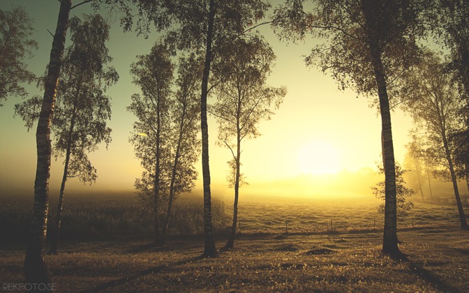paintedlandofsun
