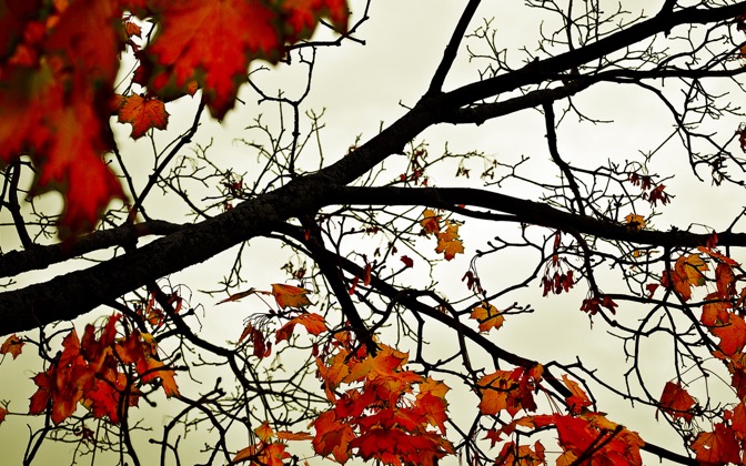coloursoffall